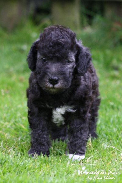 Arc-en-ciel Antares 2009-06-17 (6).JPG